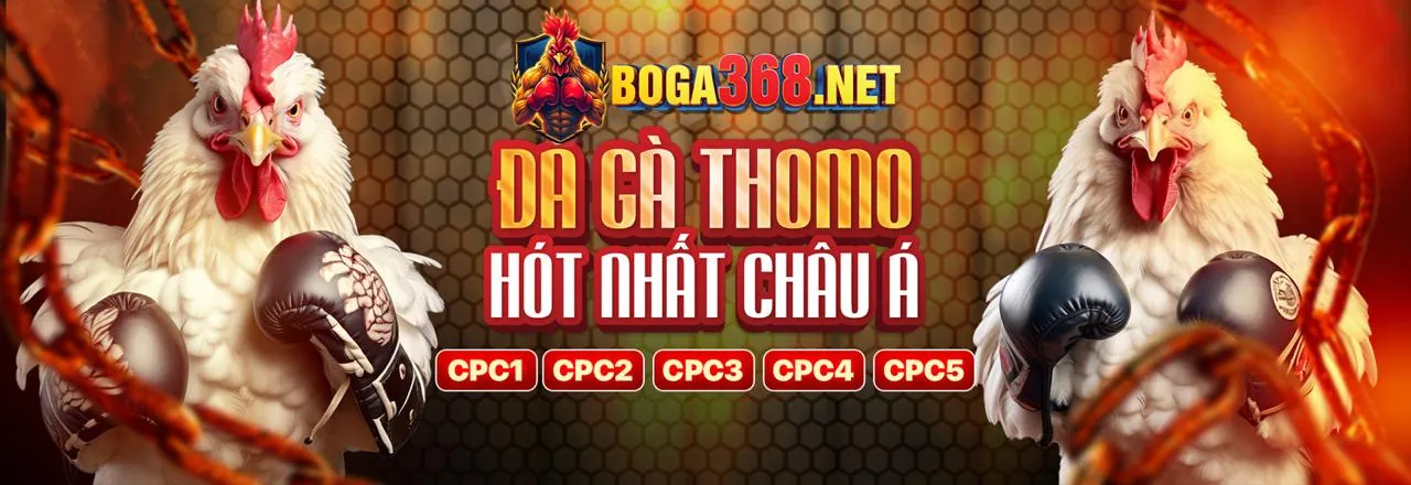 Các chương trình khuyến mãi tại rongbk